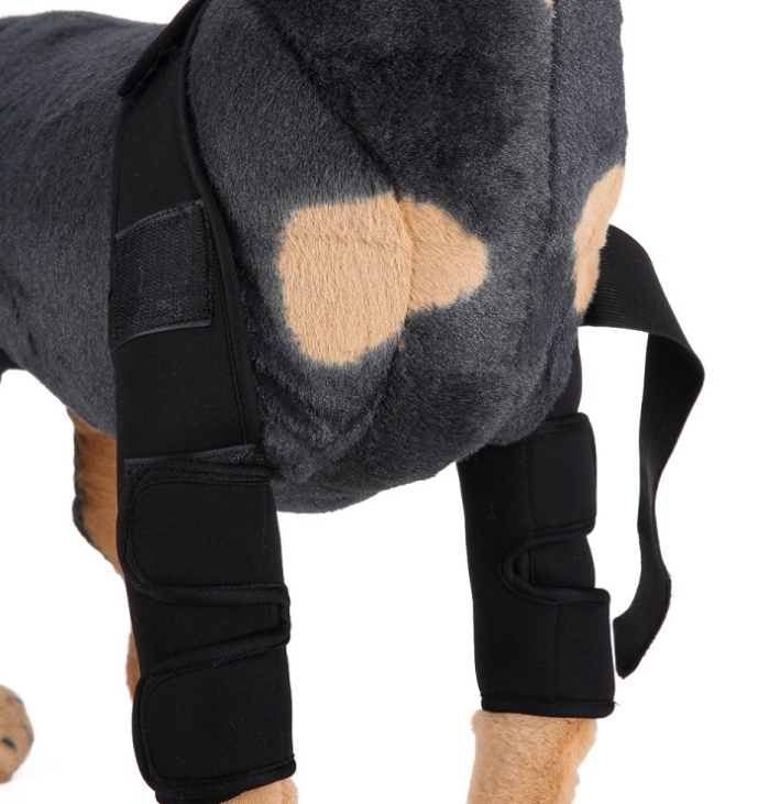 Dog Knee Brace and Leg Protector for Injury Recovery – view 3
