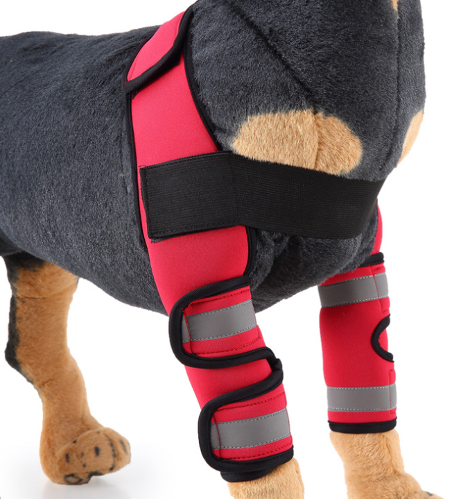 Dog Knee Brace and Leg Protector for Injury Recovery – view 5