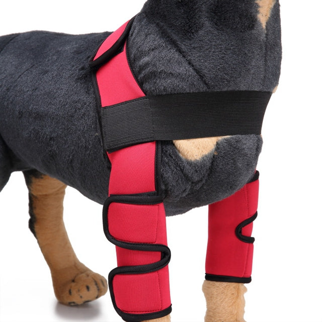 Dog Knee Brace and Leg Protector for Injury Recovery – view 2