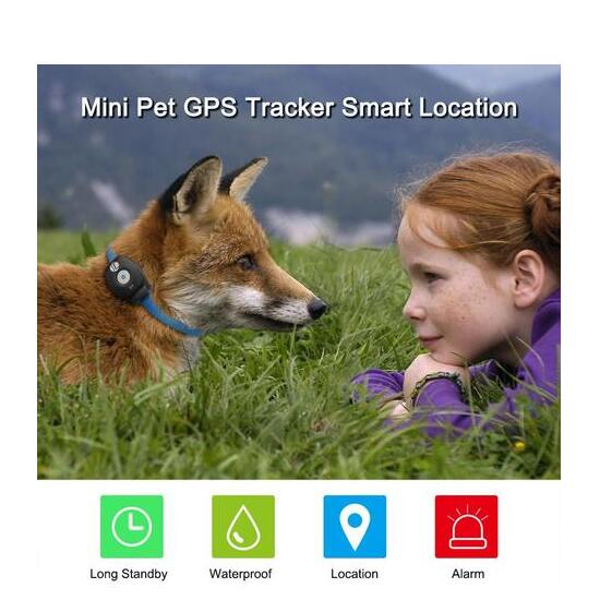 Pet Collar with GPS Tracker and Locator – view 3