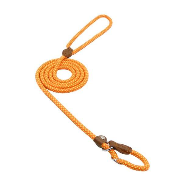 Nylon Pup Walking Set – view 3
