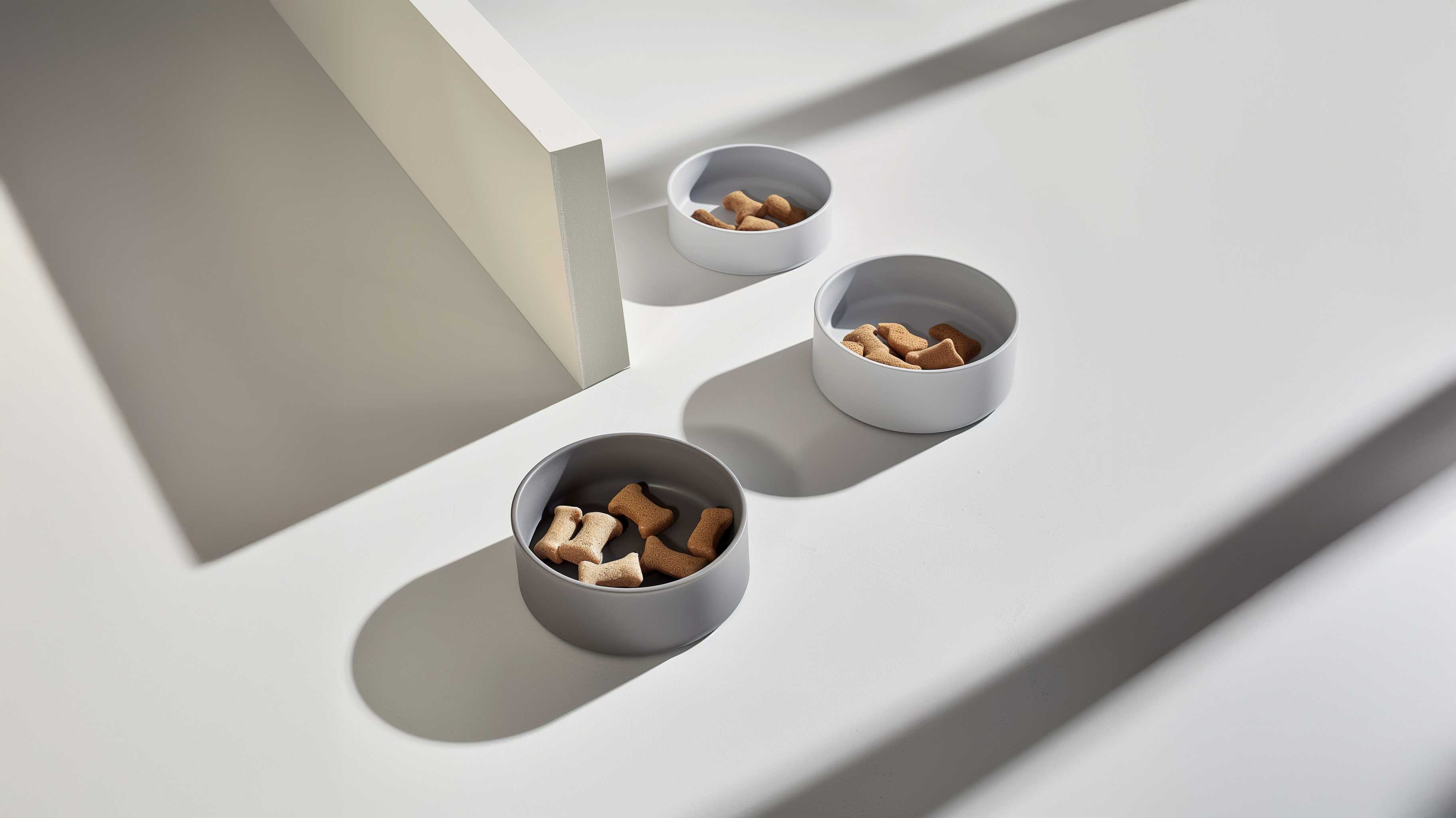 Three round pet bowls with dog treats on a light surface