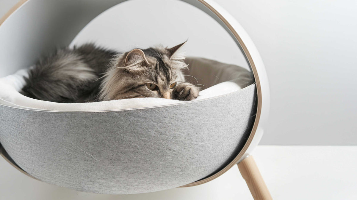Fluffy long-haired cat curled up resting in a modern round grey pet bed on a wooden stand