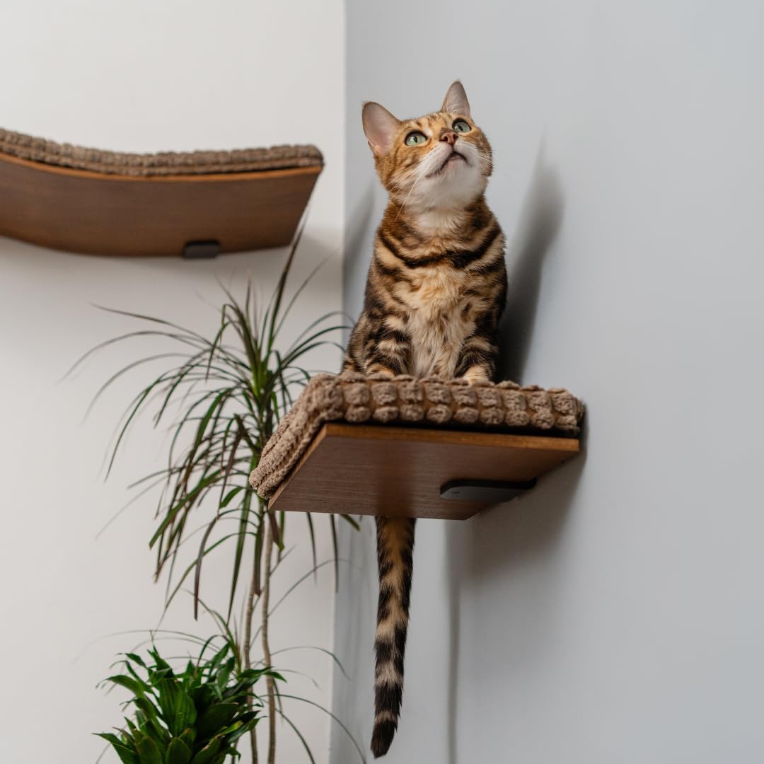 Kitsune Garden Wall-Mounted Cat Step & Shelf
