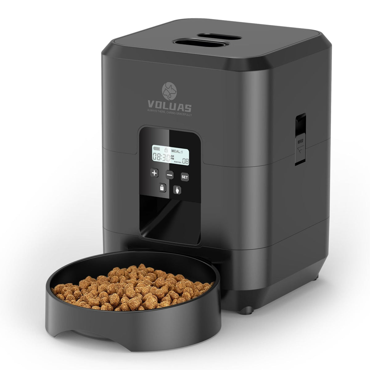 Smart Programmable Automatic Pet Feeder