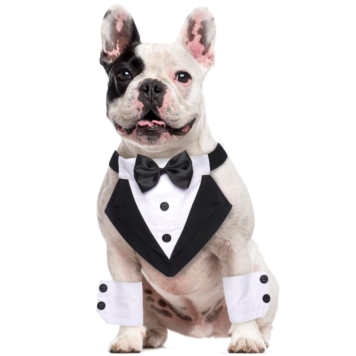 Dog Tuxedo with Bowtie Collar – additional view