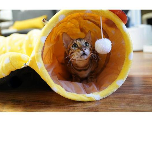 2-in-1 Cat Tunnel Bed