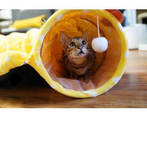 2-in-1 Cat Tunnel Bed